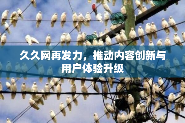 久久网再发力，推动内容创新与用户体验升级