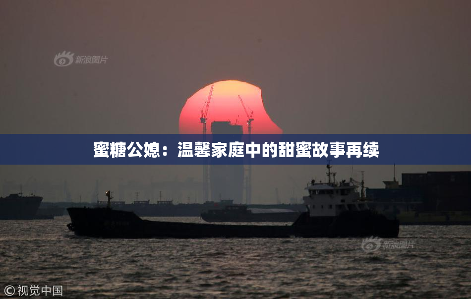 蜜糖公媳：温馨家庭中的甜蜜故事再续