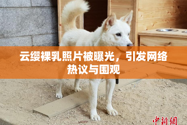 云缨裸乳照片被曝光，引发网络热议与围观