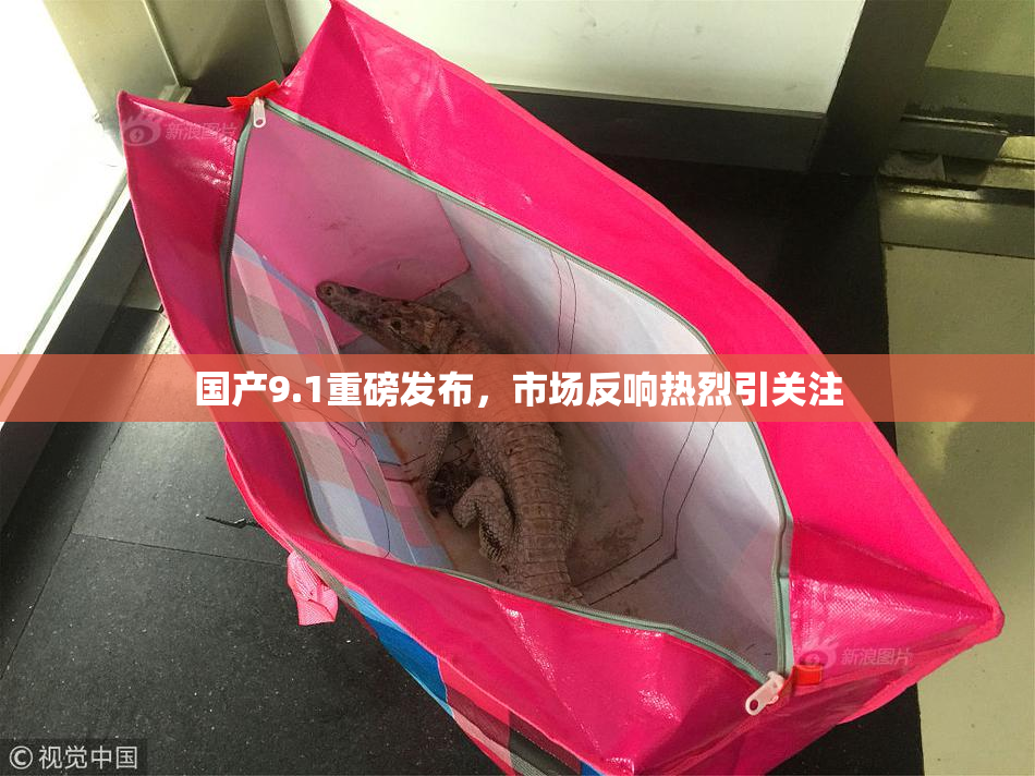 国产9.1重磅发布，市场反响热烈引关注