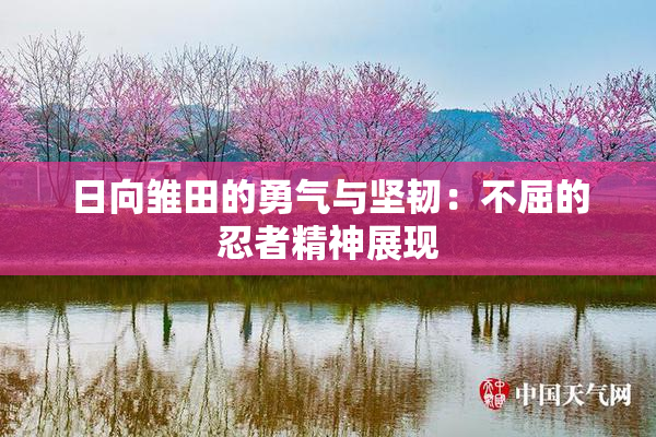 日向雏田的勇气与坚韧：不屈的忍者精神展现