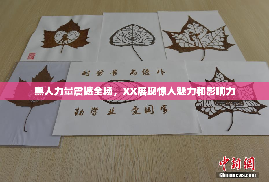 黑人力量震撼全场，XX展现惊人魅力和影响力