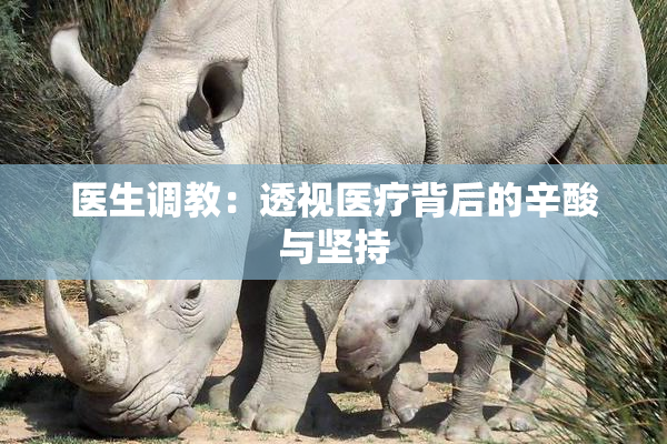 医生调教：透视医疗背后的辛酸与坚持