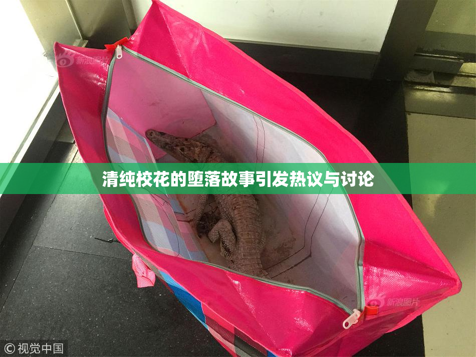 清纯校花的堕落故事引发热议与讨论