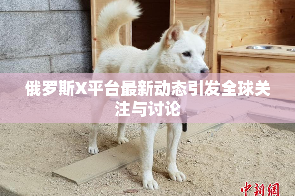 俄罗斯X平台最新动态引发全球关注与讨论