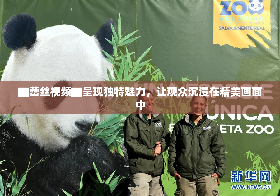 ▇蕾丝视频▇呈现独特魅力，让观众沉浸在精美画面中