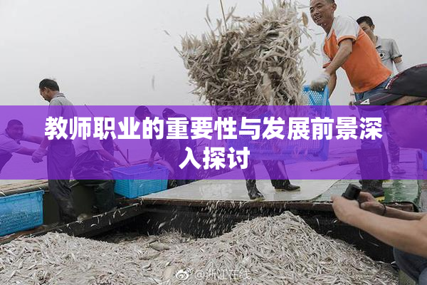 教师职业的重要性与发展前景深入探讨