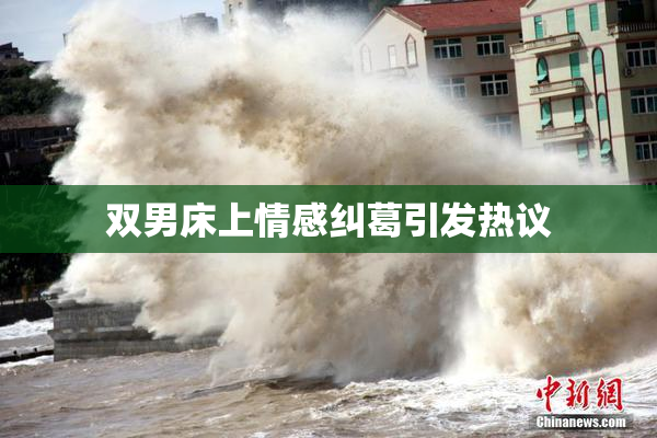 双男床上情感纠葛引发热议
