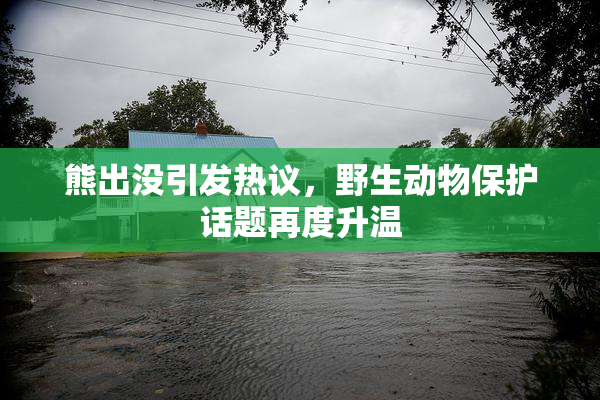 熊出没引发热议，野生动物保护话题再度升温