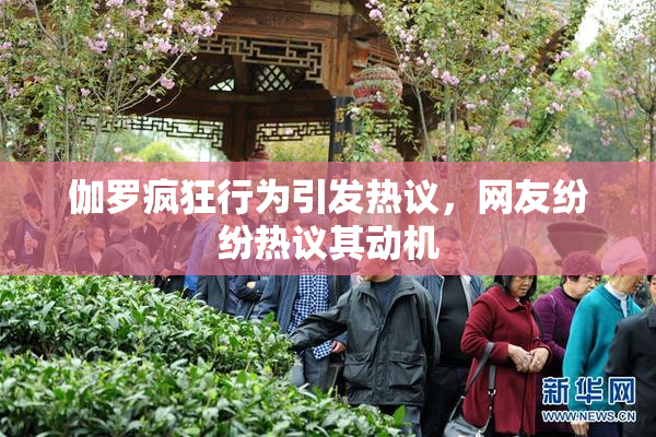 伽罗疯狂行为引发热议，网友纷纷热议其动机