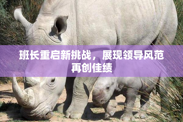 班长重启新挑战，展现领导风范再创佳绩