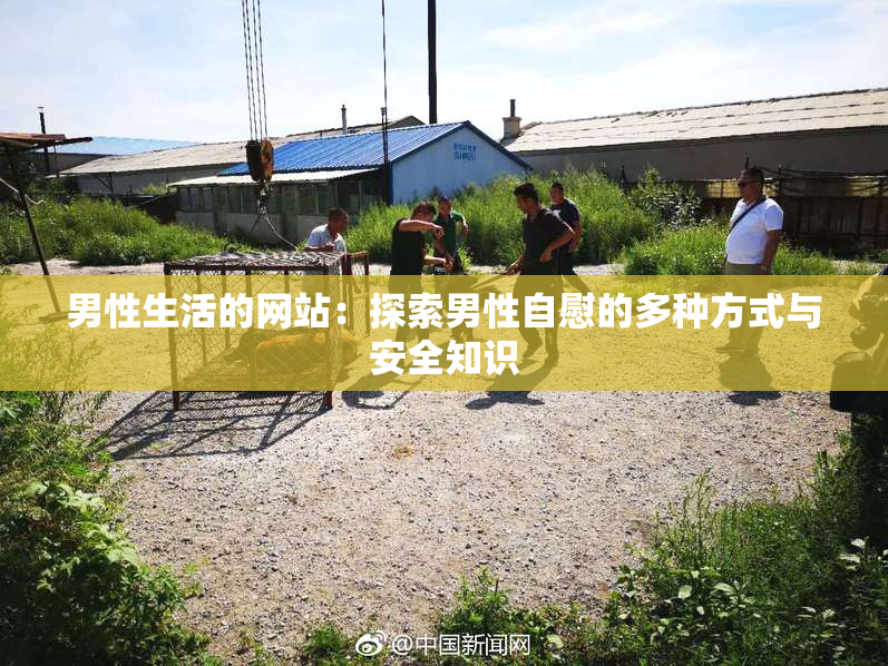 男性生活的网站：探索男性自慰的多种方式与安全知识