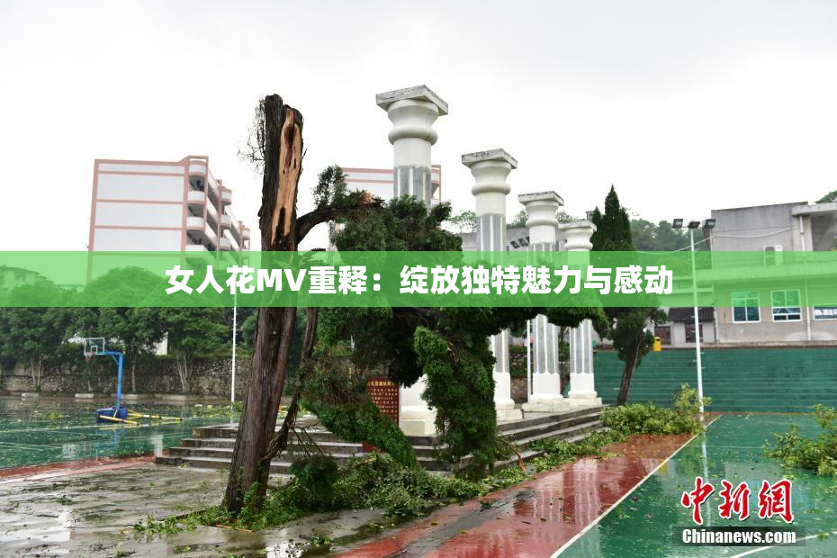 女人花MV重释：绽放独特魅力与感动
