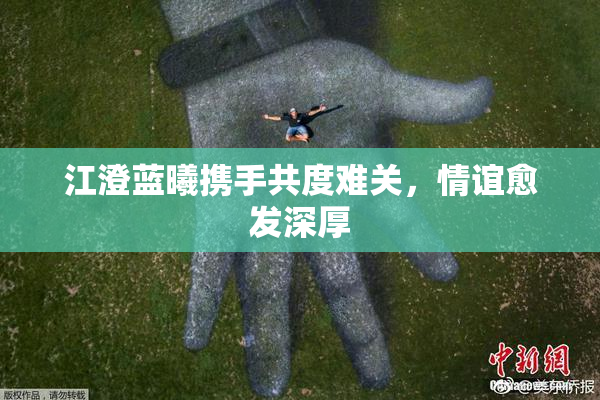 江澄蓝曦携手共度难关，情谊愈发深厚