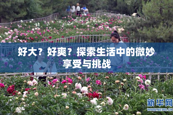 好大？好爽？探索生活中的微妙享受与挑战