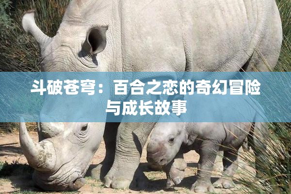 斗破苍穹：百合之恋的奇幻冒险与成长故事