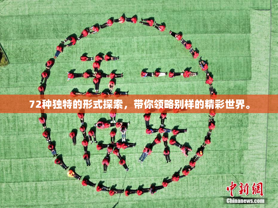 72种独特的形式探索，带你领略别样的精彩世界。