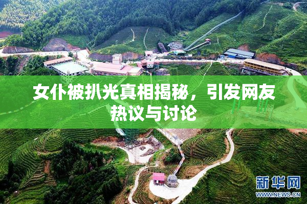 女仆被扒光真相揭秘，引发网友热议与讨论