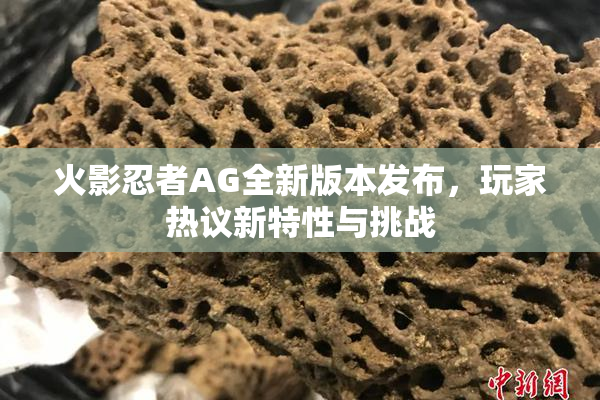 火影忍者AG全新版本发布，玩家热议新特性与挑战