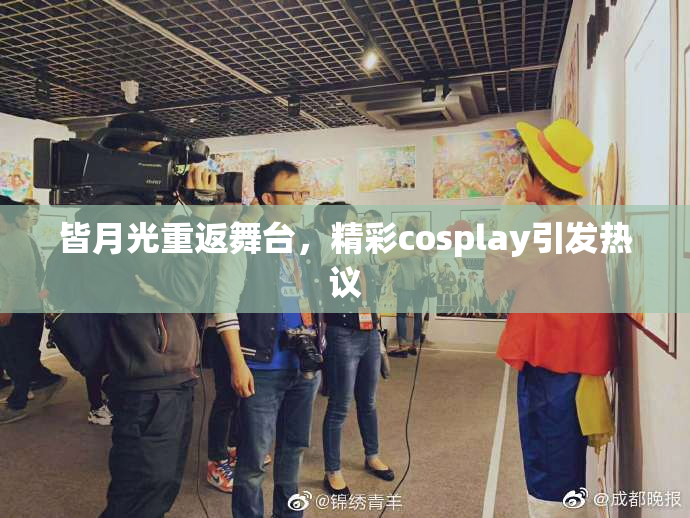 皆月光重返舞台，精彩cosplay引发热议