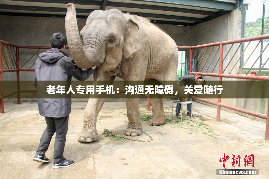 老年人专用手机：沟通无障碍，关爱随行