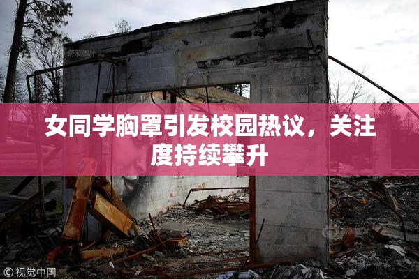 女同学胸罩引发校园热议，关注度持续攀升