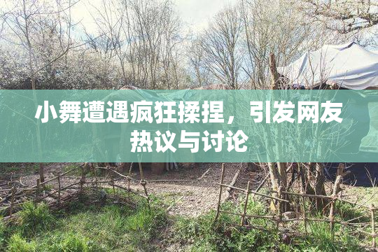 小舞遭遇疯狂揉捏，引发网友热议与讨论
