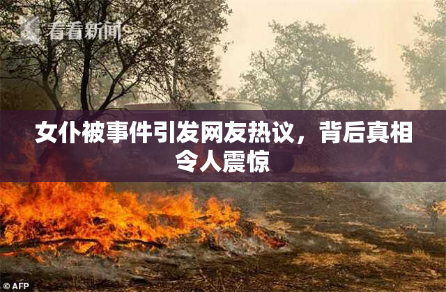 女仆被事件引发网友热议，背后真相令人震惊
