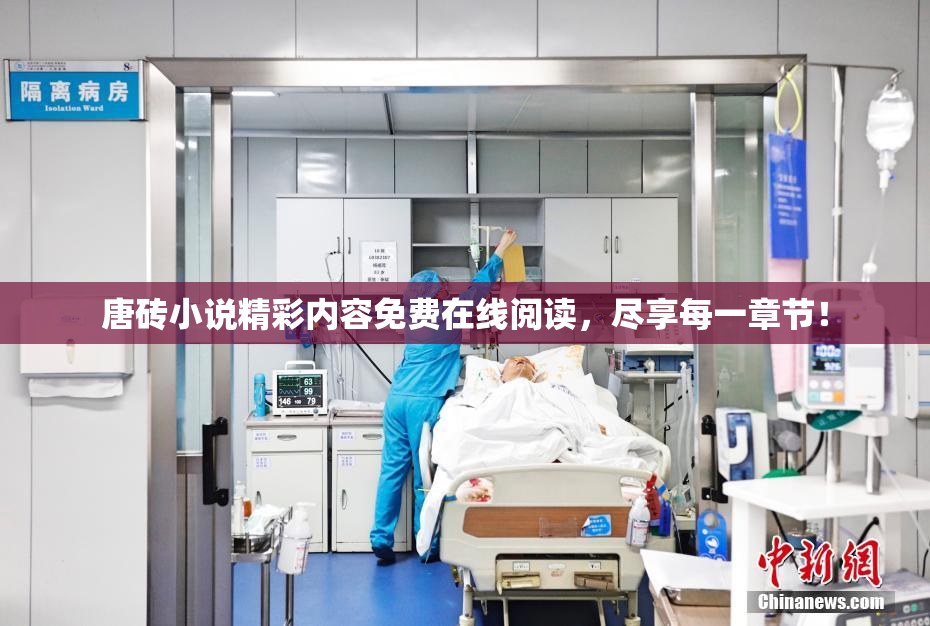 唐砖小说精彩内容免费在线阅读，尽享每一章节！