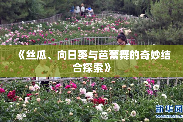 《丝瓜、向日葵与芭蕾舞的奇妙结合探索》