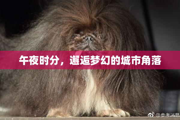 午夜时分，邂逅梦幻的城市角落