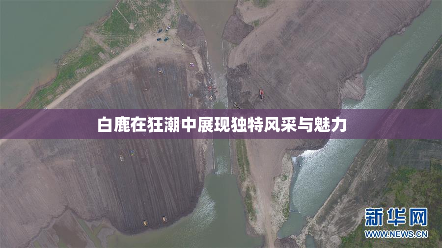 白鹿在狂潮中展现独特风采与魅力