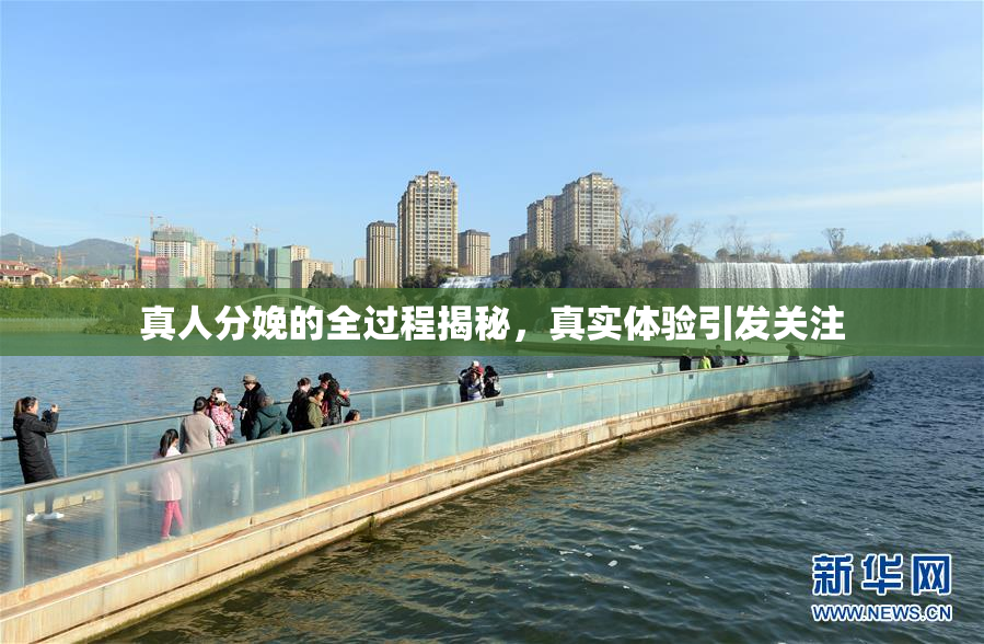 真人分娩的全过程揭秘，真实体验引发关注