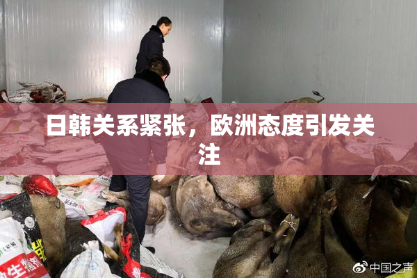 日韩关系紧张，欧洲态度引发关注