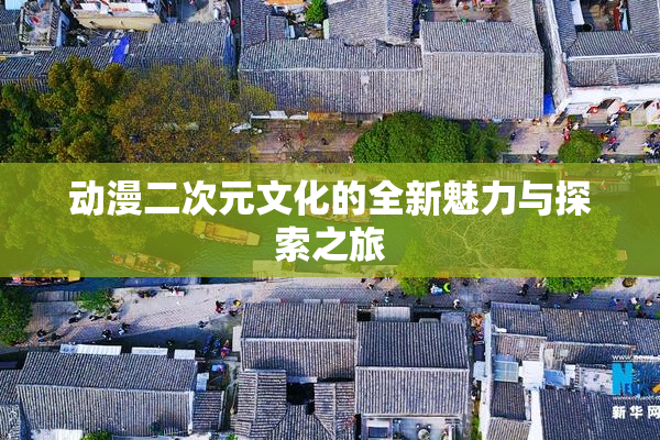 动漫二次元文化的全新魅力与探索之旅