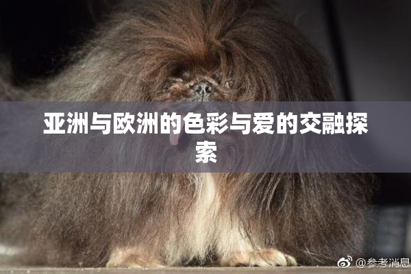 亚洲与欧洲的色彩与爱的交融探索