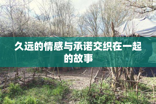 久远的情感与承诺交织在一起的故事
