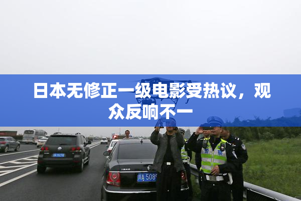 日本无修正一级电影受热议，观众反响不一