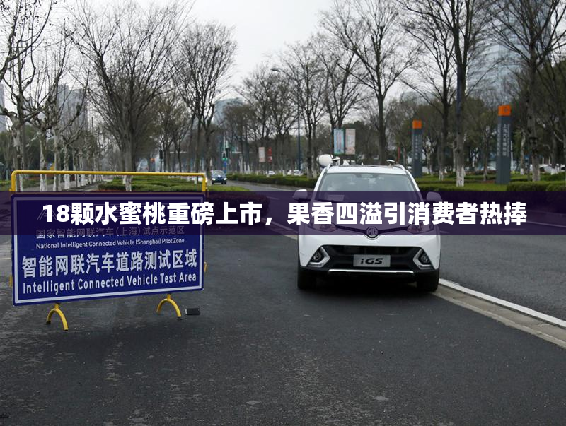 18颗水蜜桃重磅上市，果香四溢引消费者热捧
