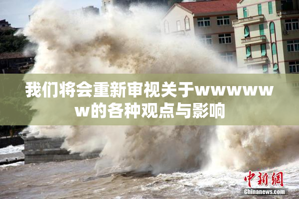 我们将会重新审视关于wwwwww的各种观点与影响