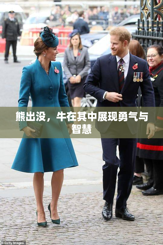 熊出没，牛在其中展现勇气与智慧