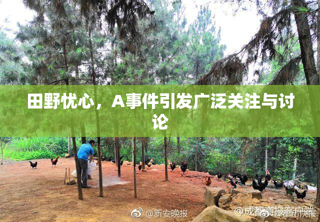 田野忧心，A事件引发广泛关注与讨论