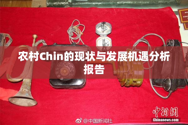 农村Chin的现状与发展机遇分析报告
