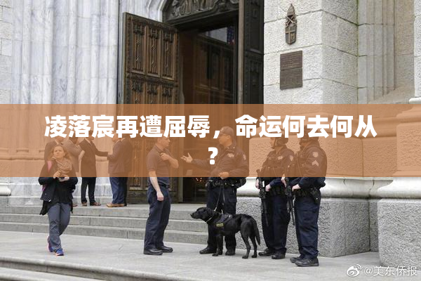 凌落宸再遭屈辱，命运何去何从？