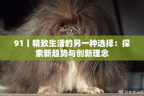 91丨精致生活的另一种选择：探索新趋势与创新理念