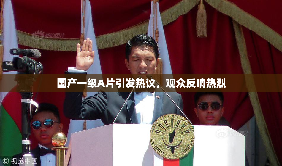 国产一级A片引发热议，观众反响热烈