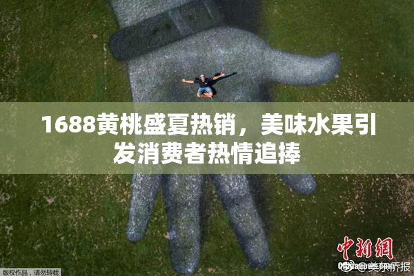 1688黄桃盛夏热销，美味水果引发消费者热情追捧