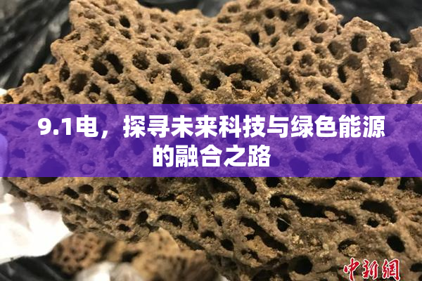 9.1电，探寻未来科技与绿色能源的融合之路