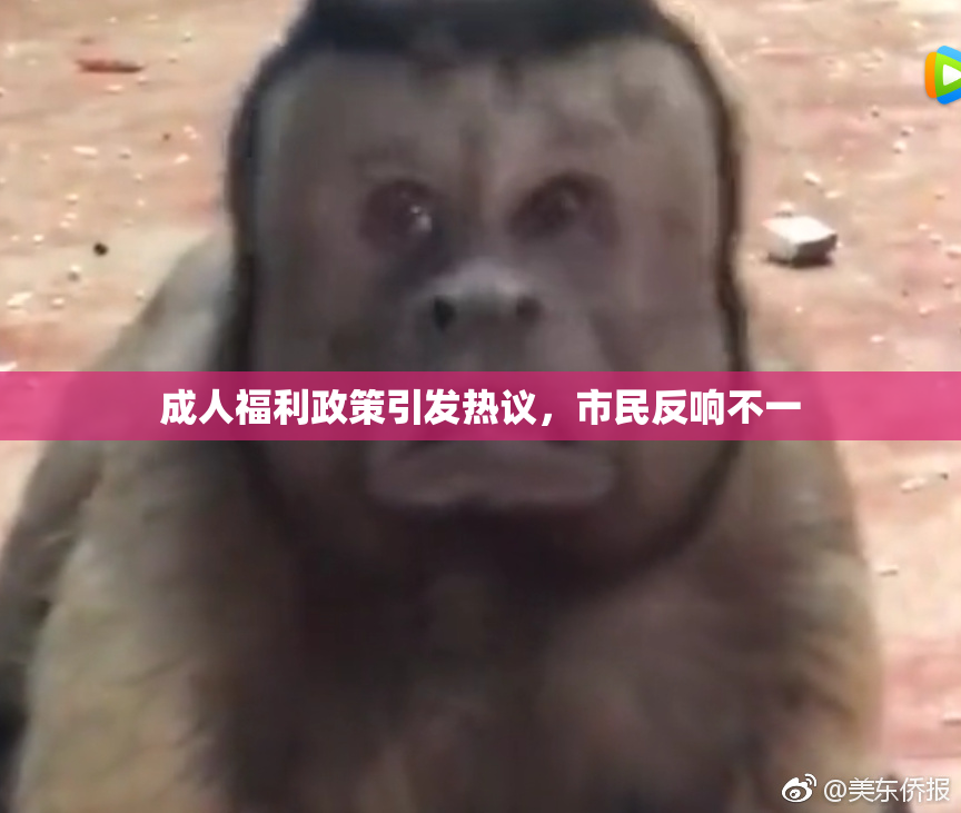 成人福利政策引发热议，市民反响不一