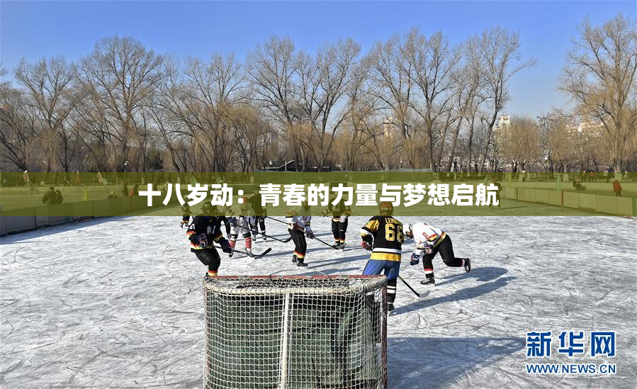十八岁动：青春的力量与梦想启航